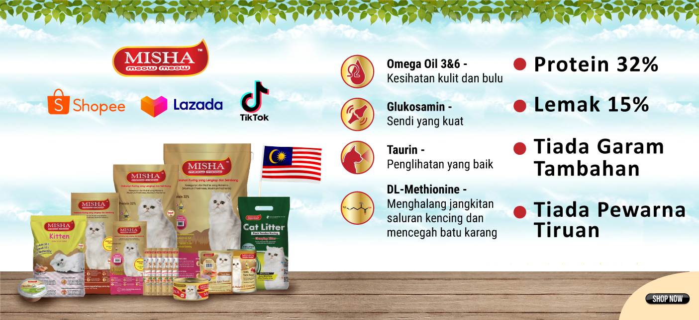 Misha Makanan Kucing