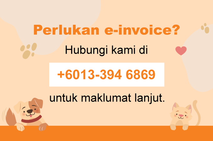 Footer 1 - e invoice