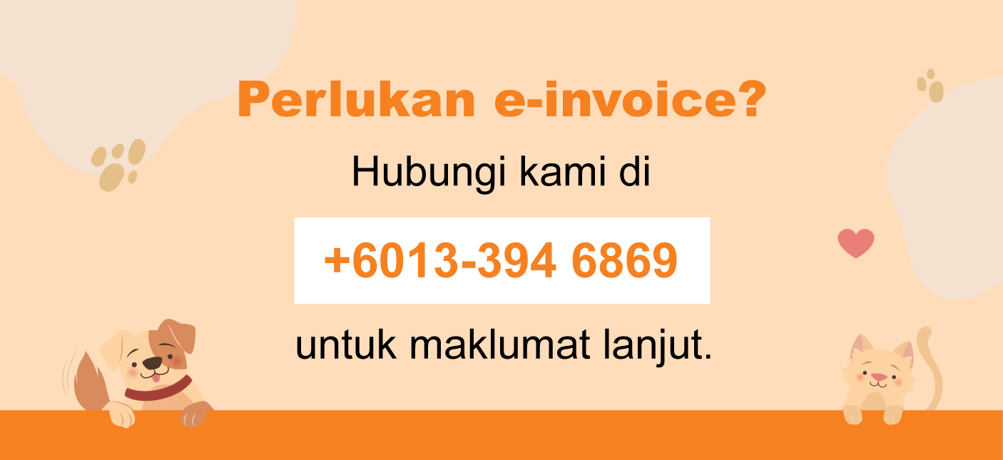 * * a e-invoice